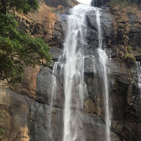 Coastal Grand Mahendravanam - Kolli Hills Buitenkant foto