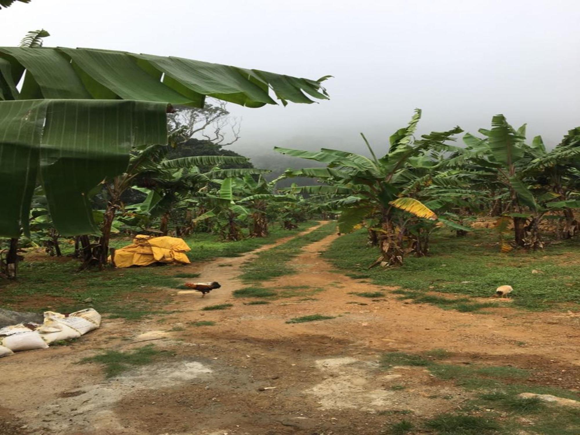 Coastal Grand Mahendravanam - Kolli Hills Buitenkant foto
