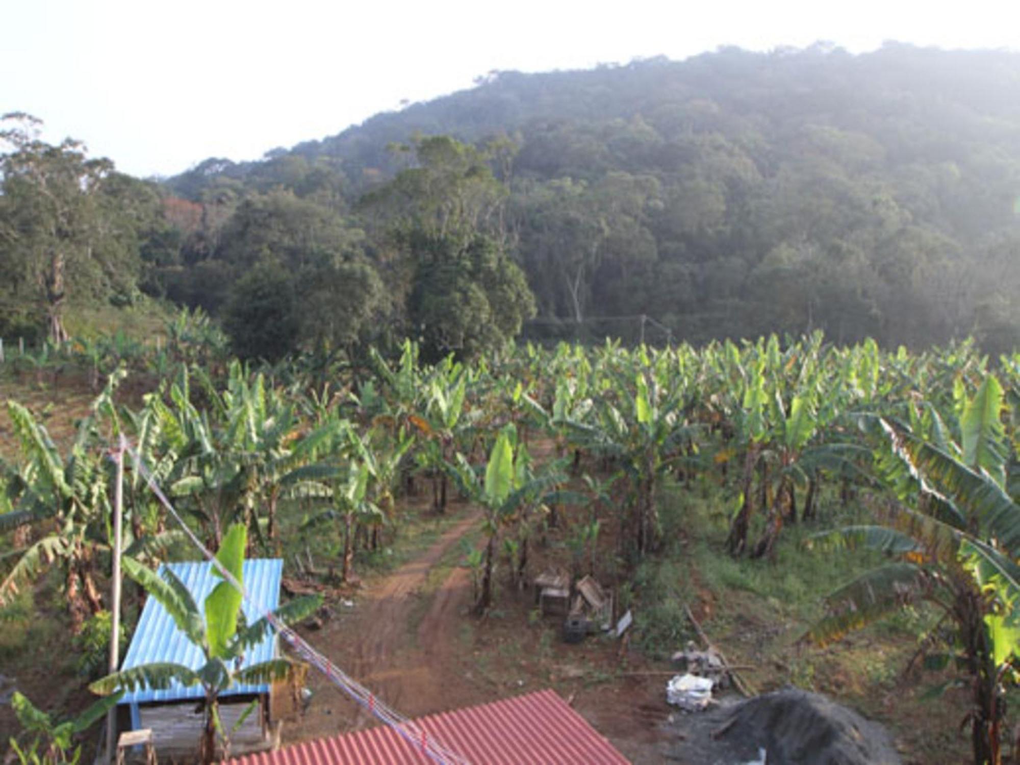 Coastal Grand Mahendravanam - Kolli Hills Buitenkant foto